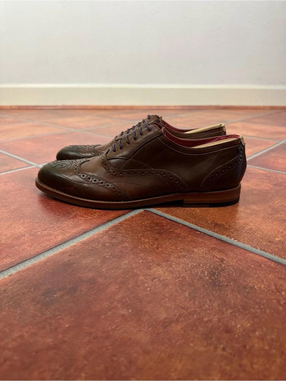 Ted Baker Men's Wingtip Leather Derbys with Brogue Detail and Pink Interior